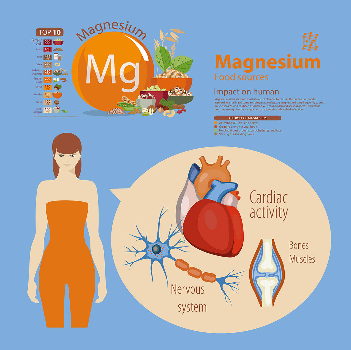 Μαγνήσιο γυναίκα σε σκίτσο