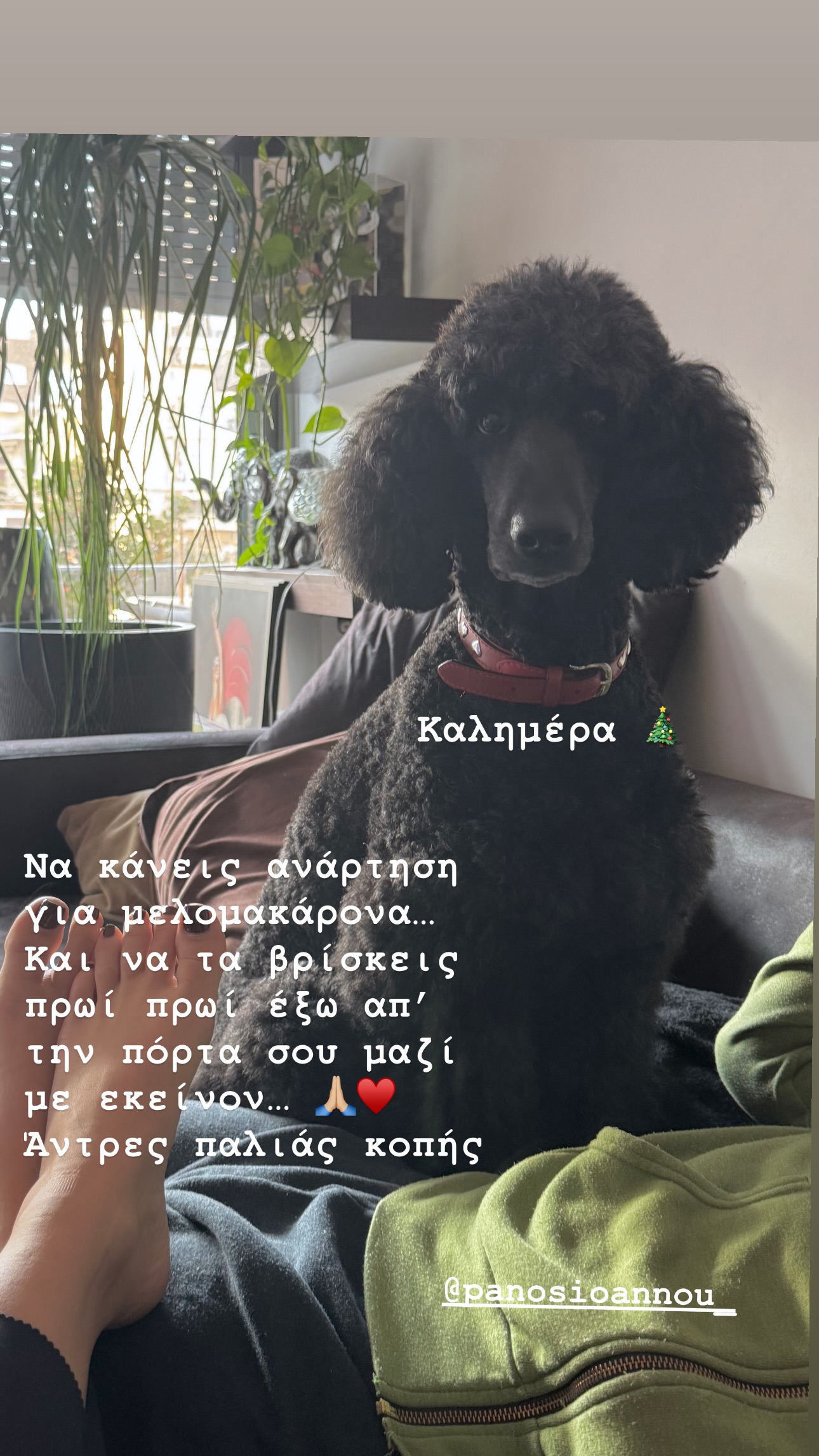 Η ανάρτηση της Μαριάντας Πιερίδη για τον σύντροφό της