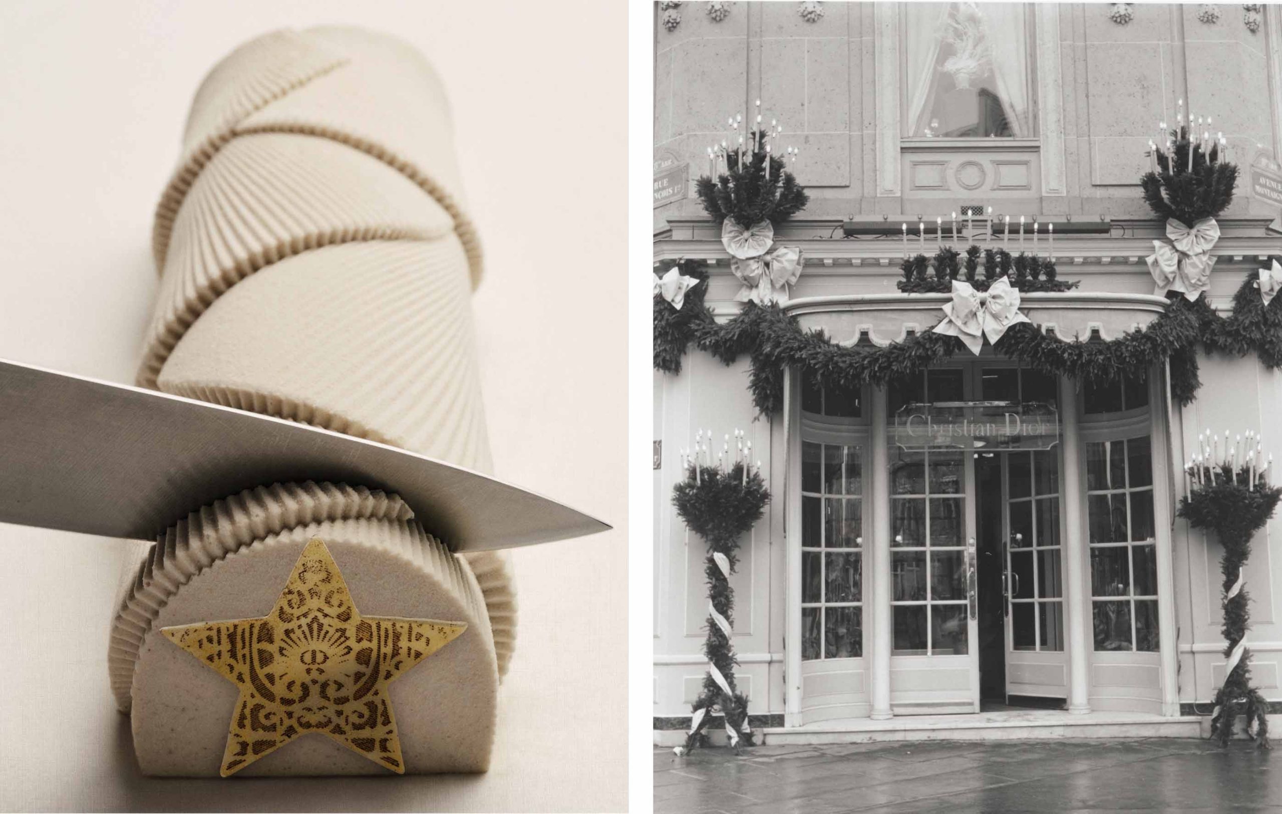Χριστουγεννιάτικος κορμός Dior