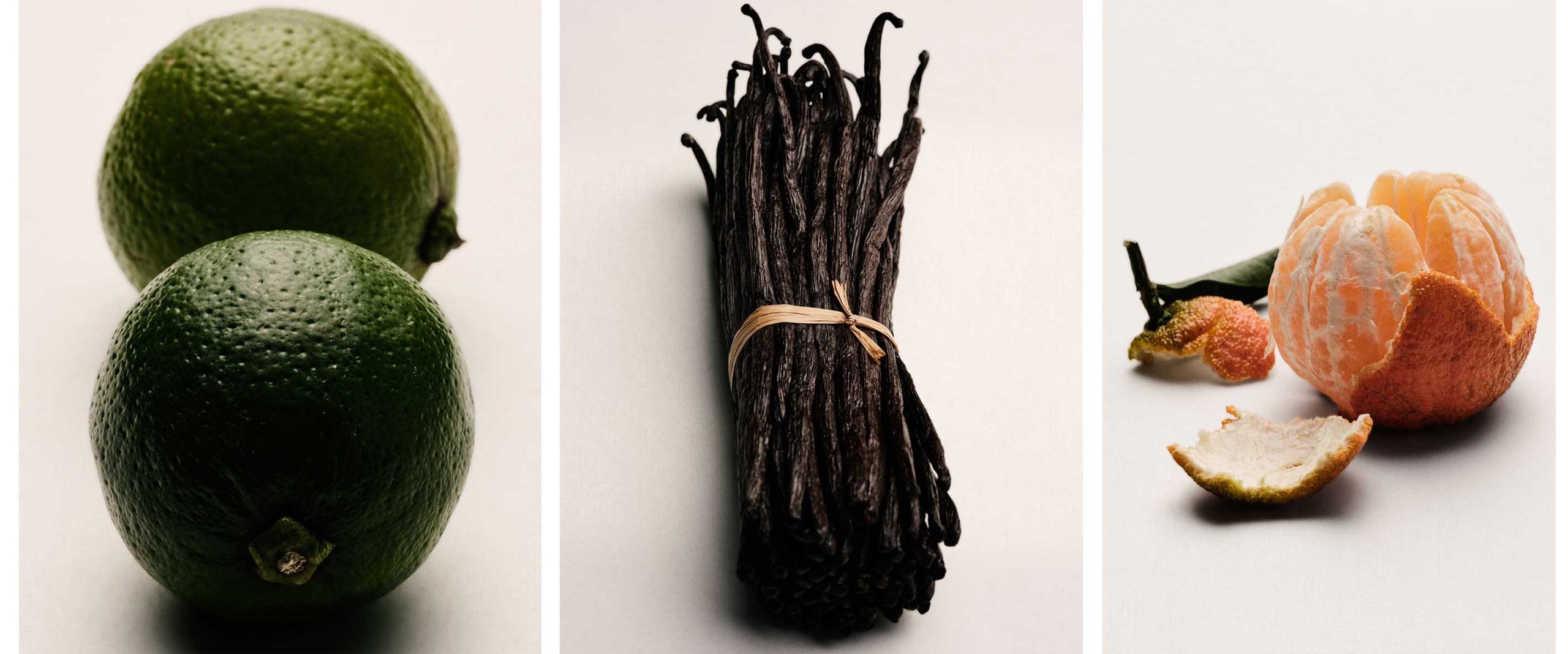 Χριστουγεννιάτικος κορμός Dior