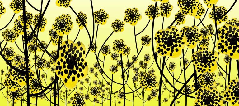 Ελένη Βερναδάκη στο Μουσείο Μπενάκη