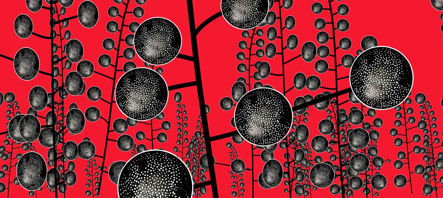 Ελένη Βερναδάκη στο Μουσείο Μπενάκη