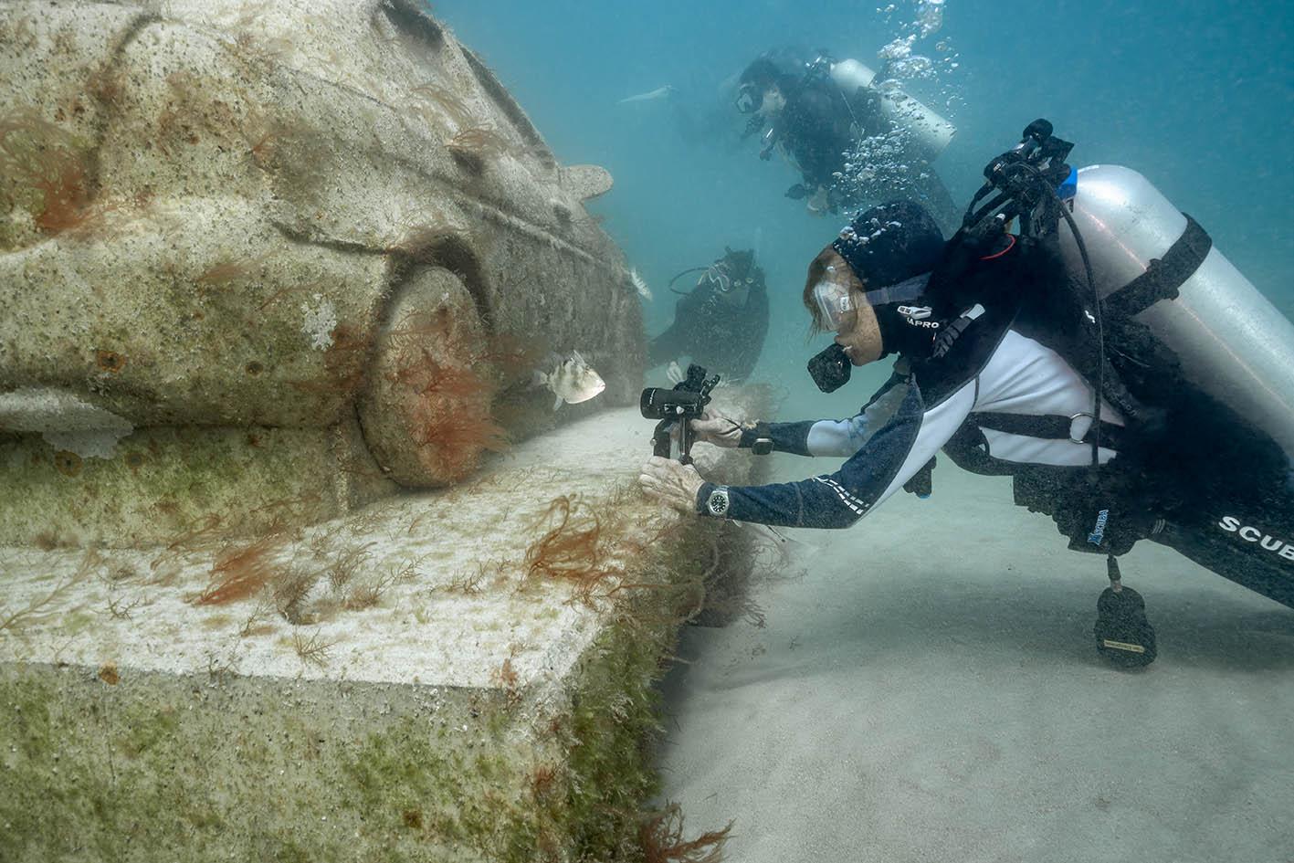 Η γιατρός Dr. Sylvia Earle. 