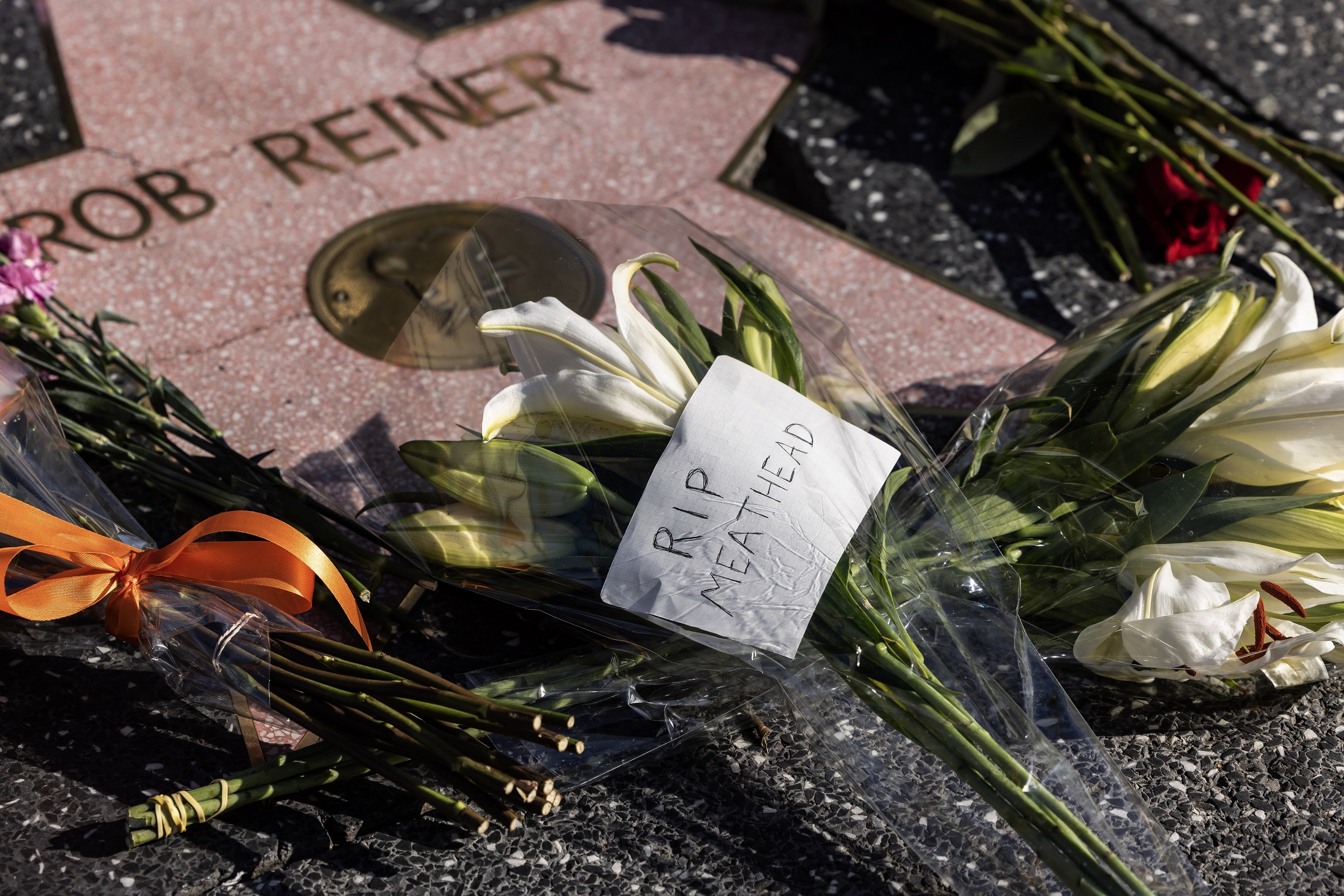 Tο Αστέρι του Rob Reiner στη Λεωφόρο της Δόξας στο Λος Άντζελες, όπου θαυμαστές άφησαν λουλούδια στη μνήμη του, 15 Δεκεμβρίου 2025