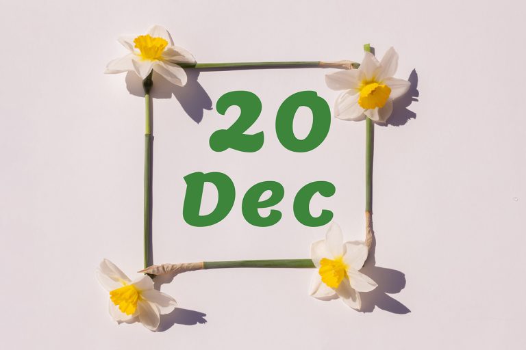 Ημερολόγιο Δεκέμβριος 20