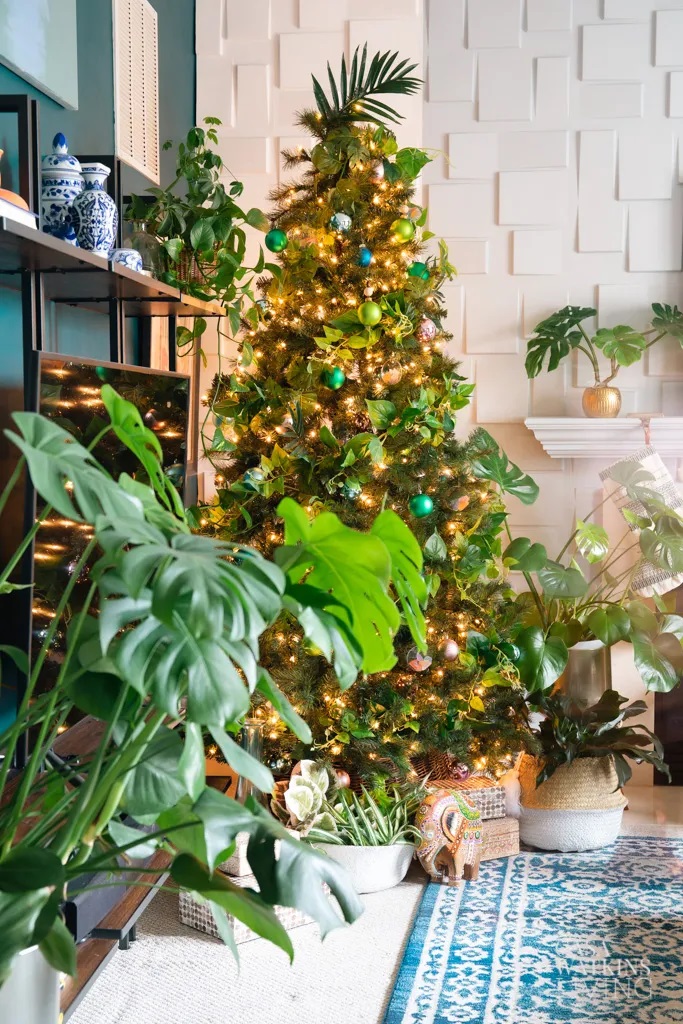 Φυτά και χριστουγεννιάτικη μουσική και διακόσμηση