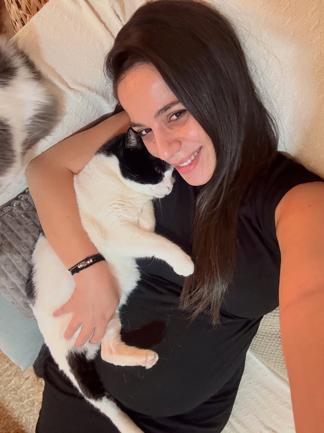 Ευλαμπία Ρέβη γάτα