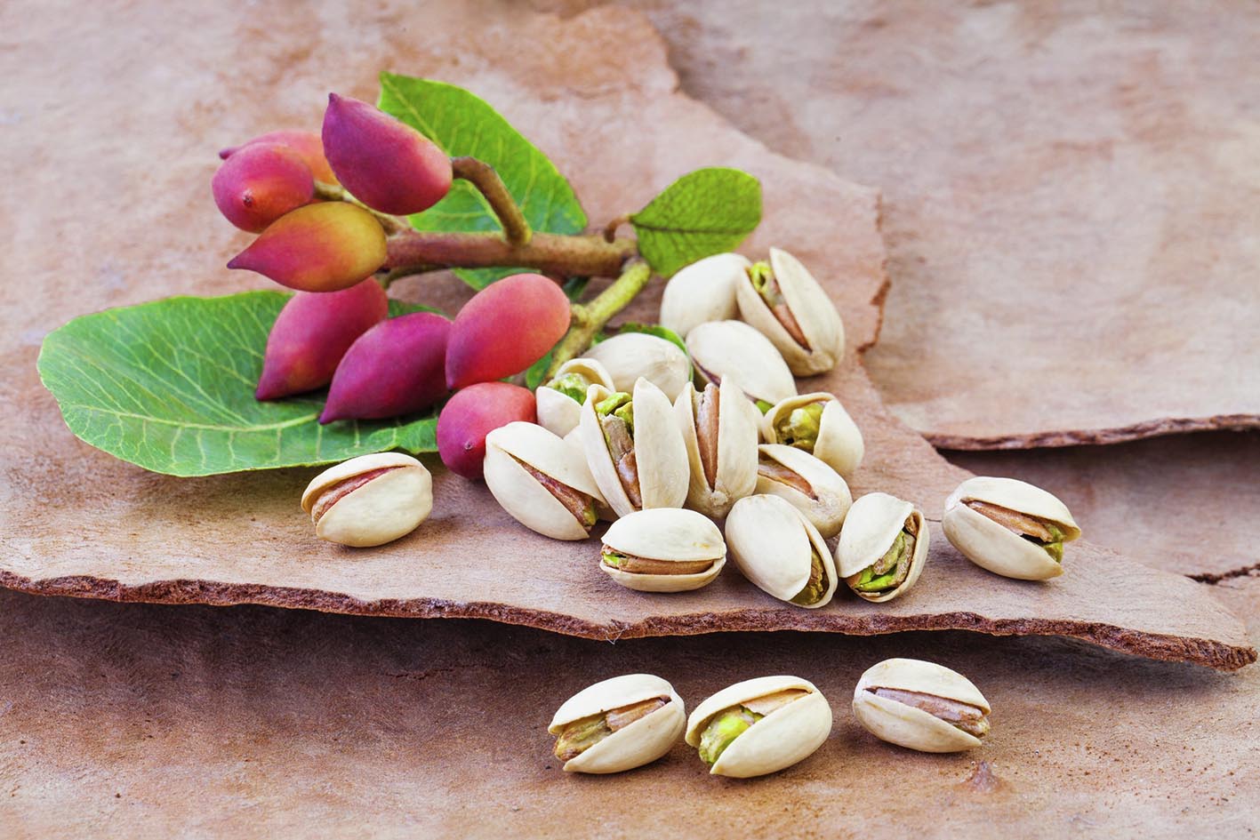 Φιστίκια Αιγίνης