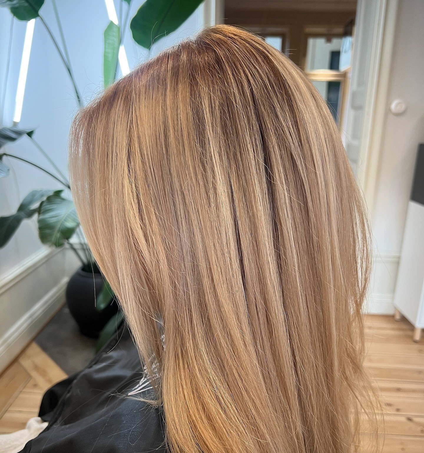 Honey Blonde ξανθό