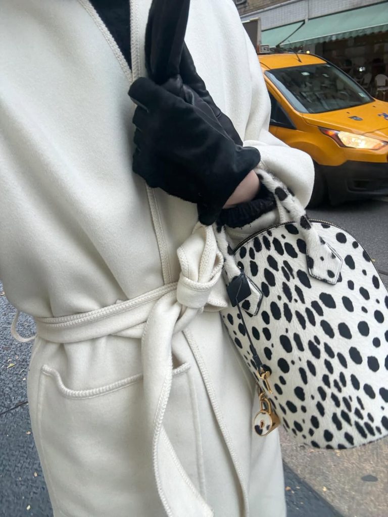 Pony hair bag