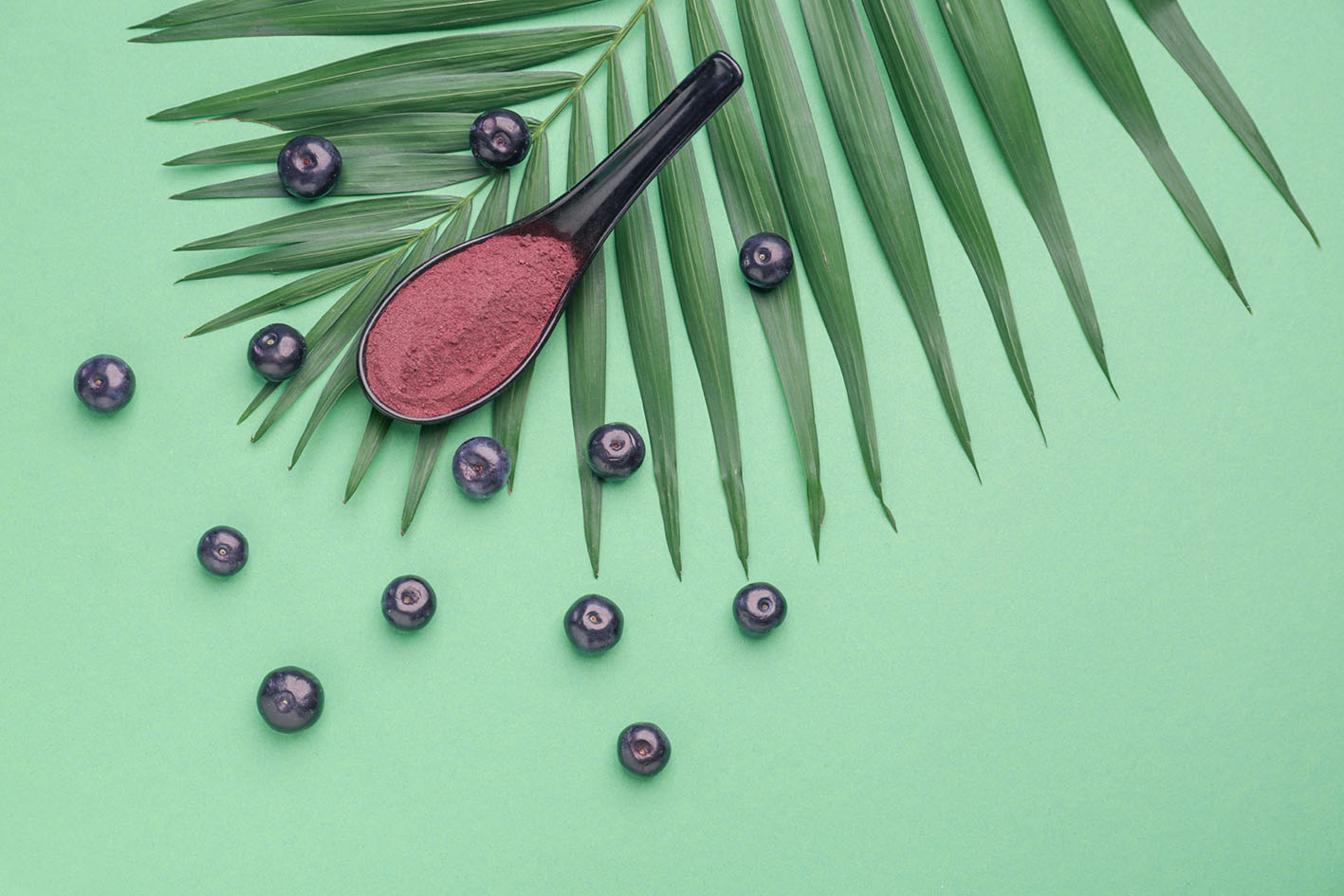 Σκόνη και καρποί Acai Berry, πλούσια σε αντιοξειδωτικά και φυτικές στερόλες. 