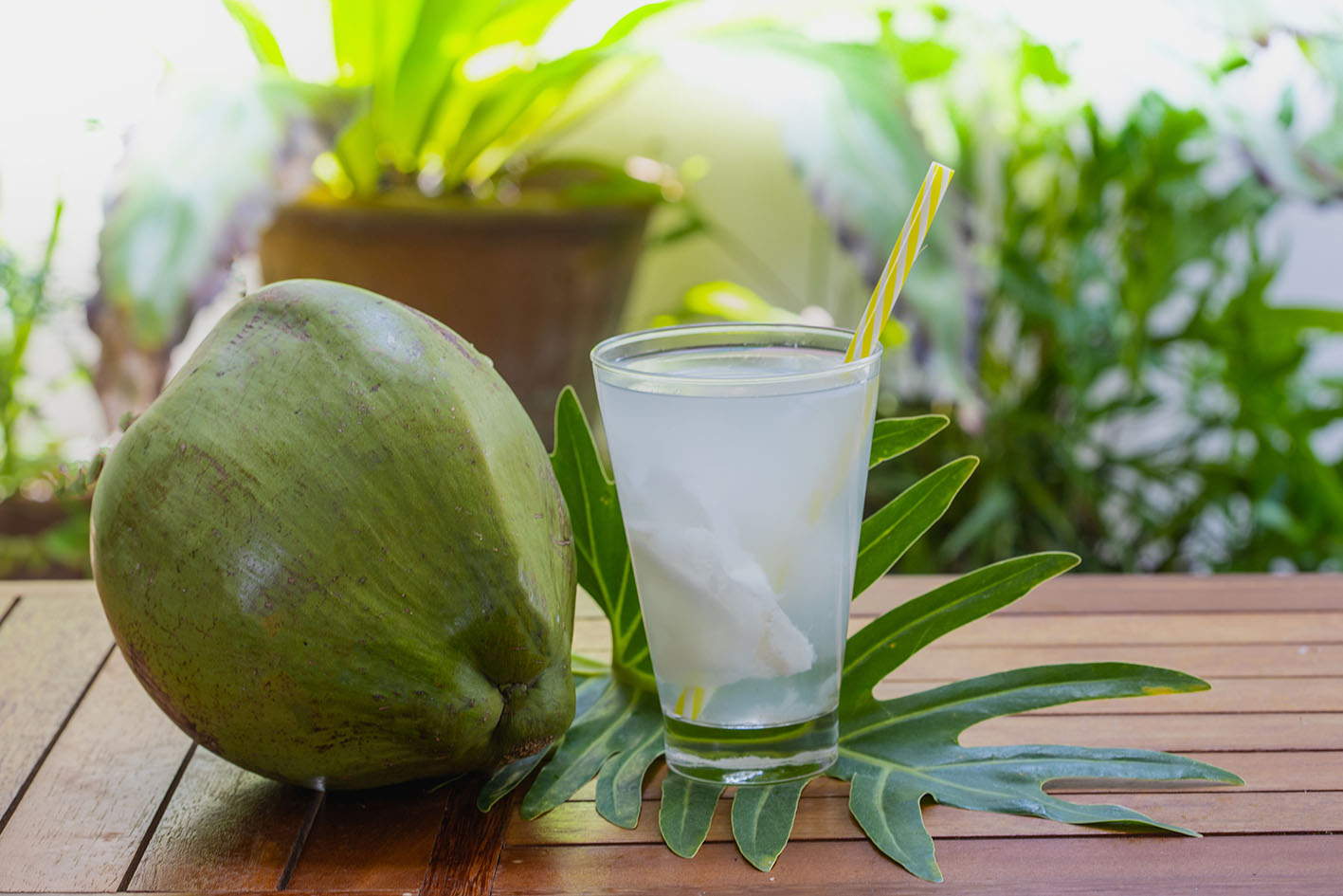 Νερό καρύδας