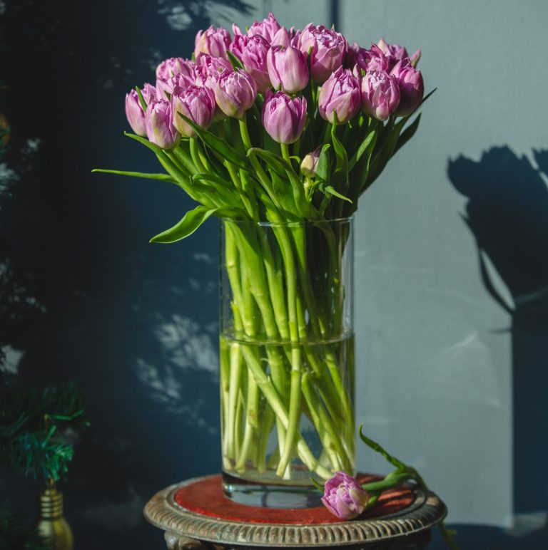 Λουλούδια ροζ τουλίπες στο βάζο