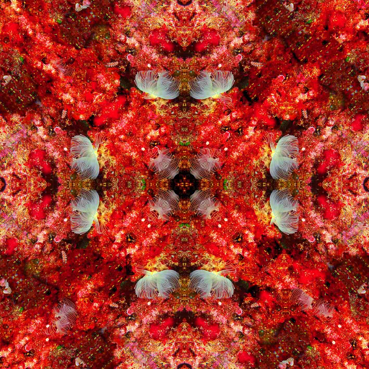 Το μαντήλι Biogenic Reef του Mιχάλη Παντελίδη