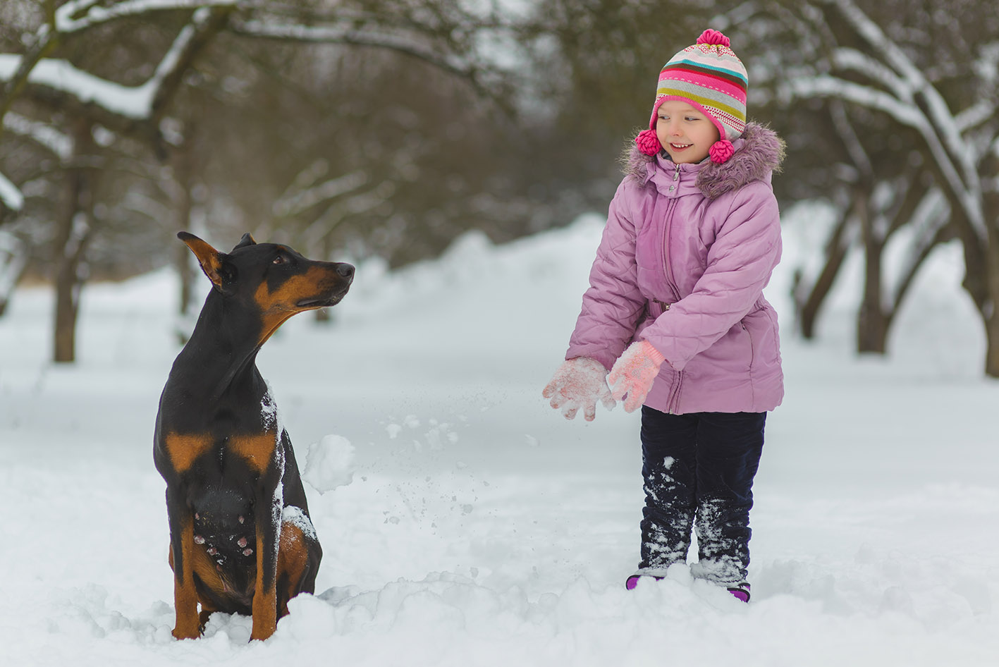 Σκύλος ντόπερμαν και παιδί στα χιόνια