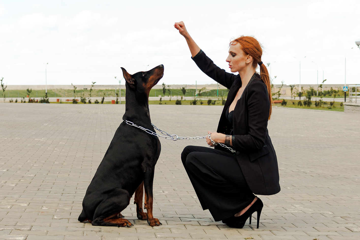 Σκύλος ντόπερμαν και εκπαιδευτής