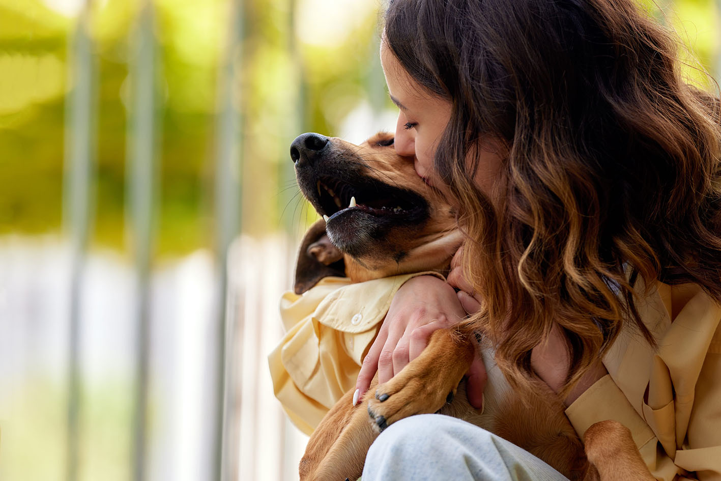 Σκύλος κάνει αγκαλιές με γυναίκα. Οι θετικές εμπειρίες της ημέρας είναι το υλικό για να φτιάξει το βράδυ τα όνειρά του..