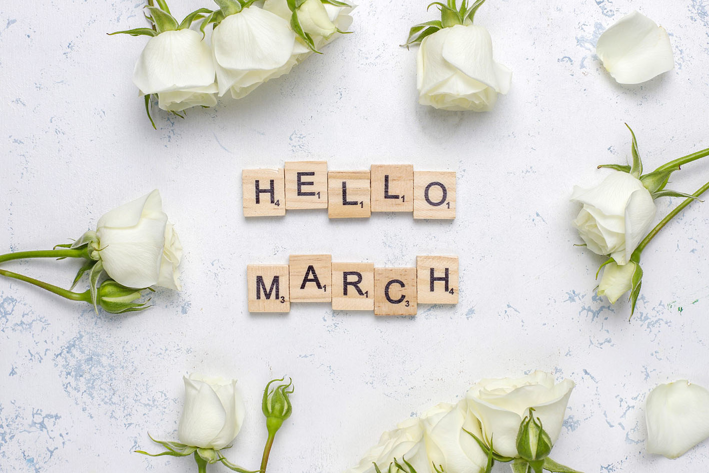 Καλωσορίζουμε τον Μάρτιο με κάρτα που γράφει Hello March και λευκά τριαντάφυλλα γύρω γύρω.