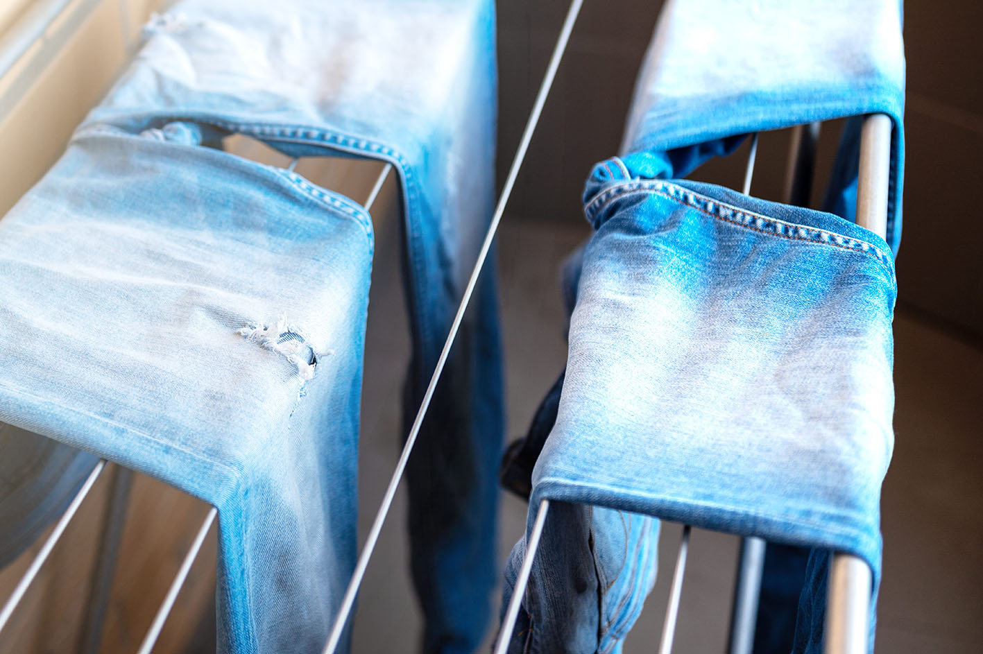 Τζιν στεγνώνουν στην απλώστρα.