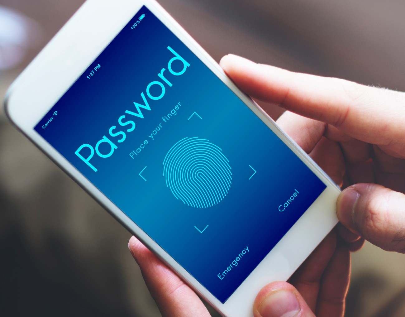Password και Touch ID σε κινητό τηλέφωνο