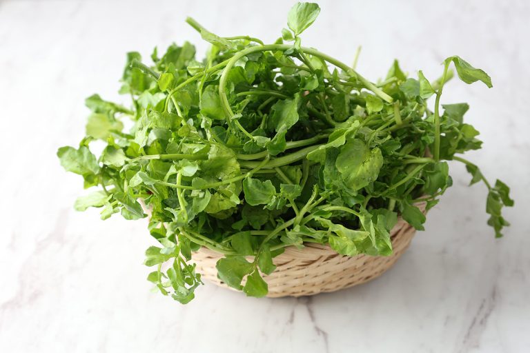 Νεροκάρδαμο