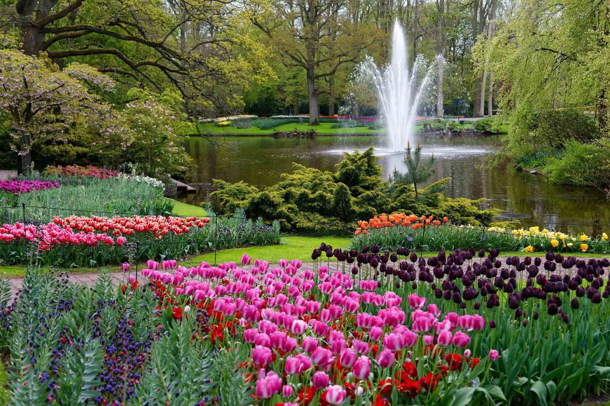 Keukenhof Tulip Gardens - Άμστερνταμ, Ολλανδία. Ο κήπος της Ευρώπης.