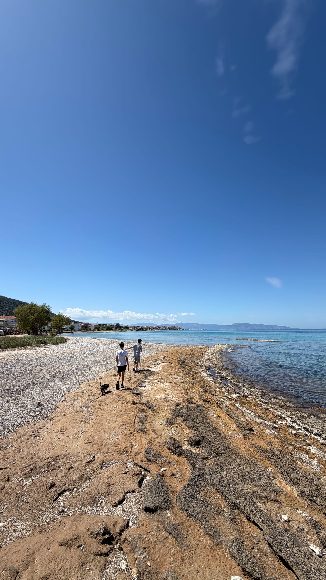 Οι γιοι της Κατερίνας Παπουτσάκη