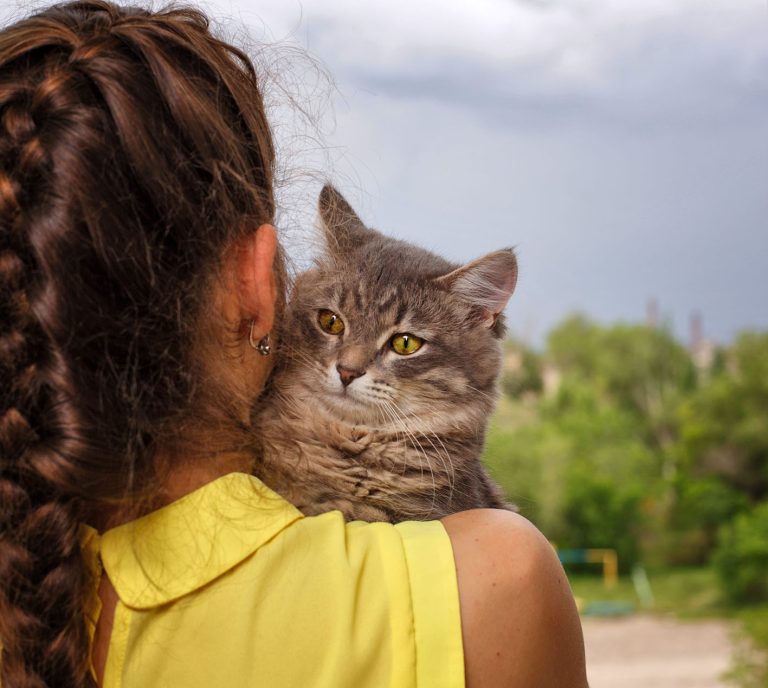 To Φεστιβάλ Γάτας γίνεται 25 & 26 Απριλίου στο Αμαξοστάσιο στο Γκάζι. Ευκαιρία να υιοθετήσετε ένα γατάκι.