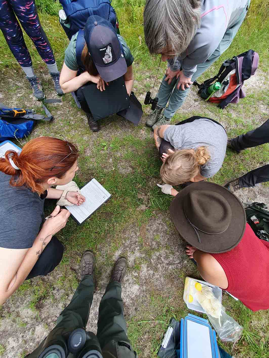 Οι «πολίτες-επιστήμονες» στην πρώτη γραμμή για την προστασία του λύκου