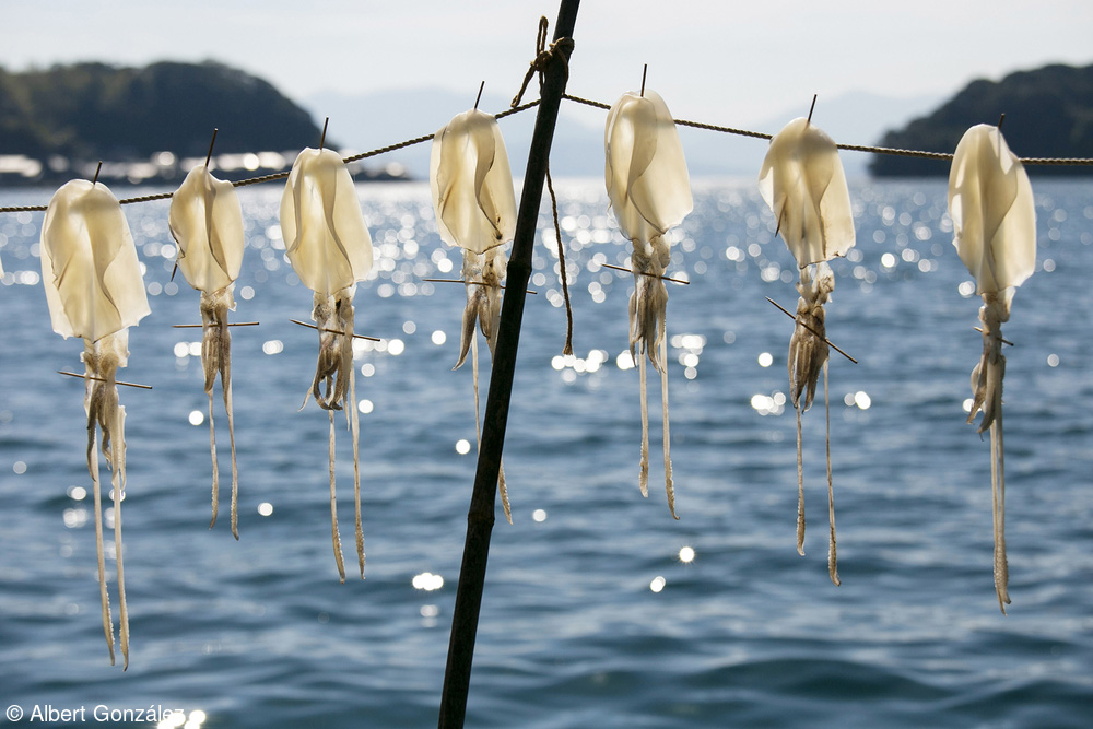 «Ine Fishing Village, Kyoto, Japan» του Albert Gonzalez/World Food Photography Awards με χορηγία της Bimi®. Καλαμάρια που στεγνώνουν στον ήλιο χρησιμοποιώντας την παραδοσιακή ιαπωνική τεχνική Himono στο ψαροχώρι Ine, Νομός Κιότο, Ιαπωνία.