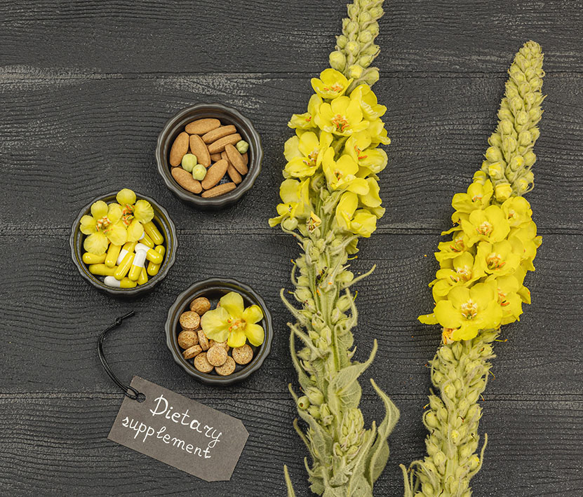 Φρέσκα άνθη φλόμου (Verbascum) πάνω σε μαύρη ξύλινη επιφάνεια