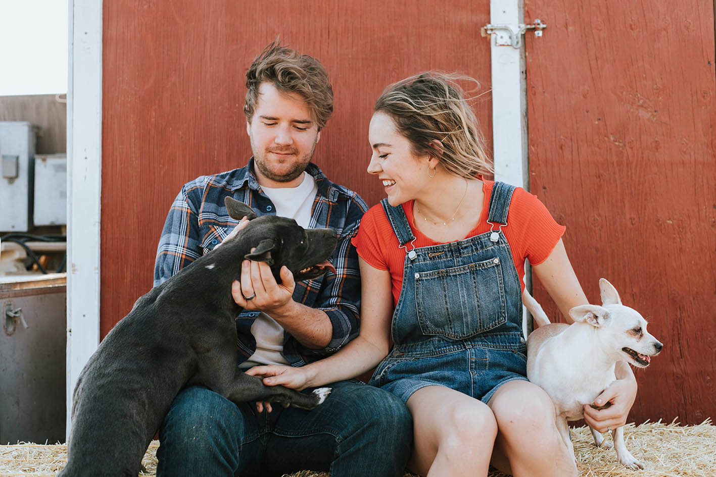 Ευτυχισμένο ζευγάρι που ζει με τα σκυλιά του