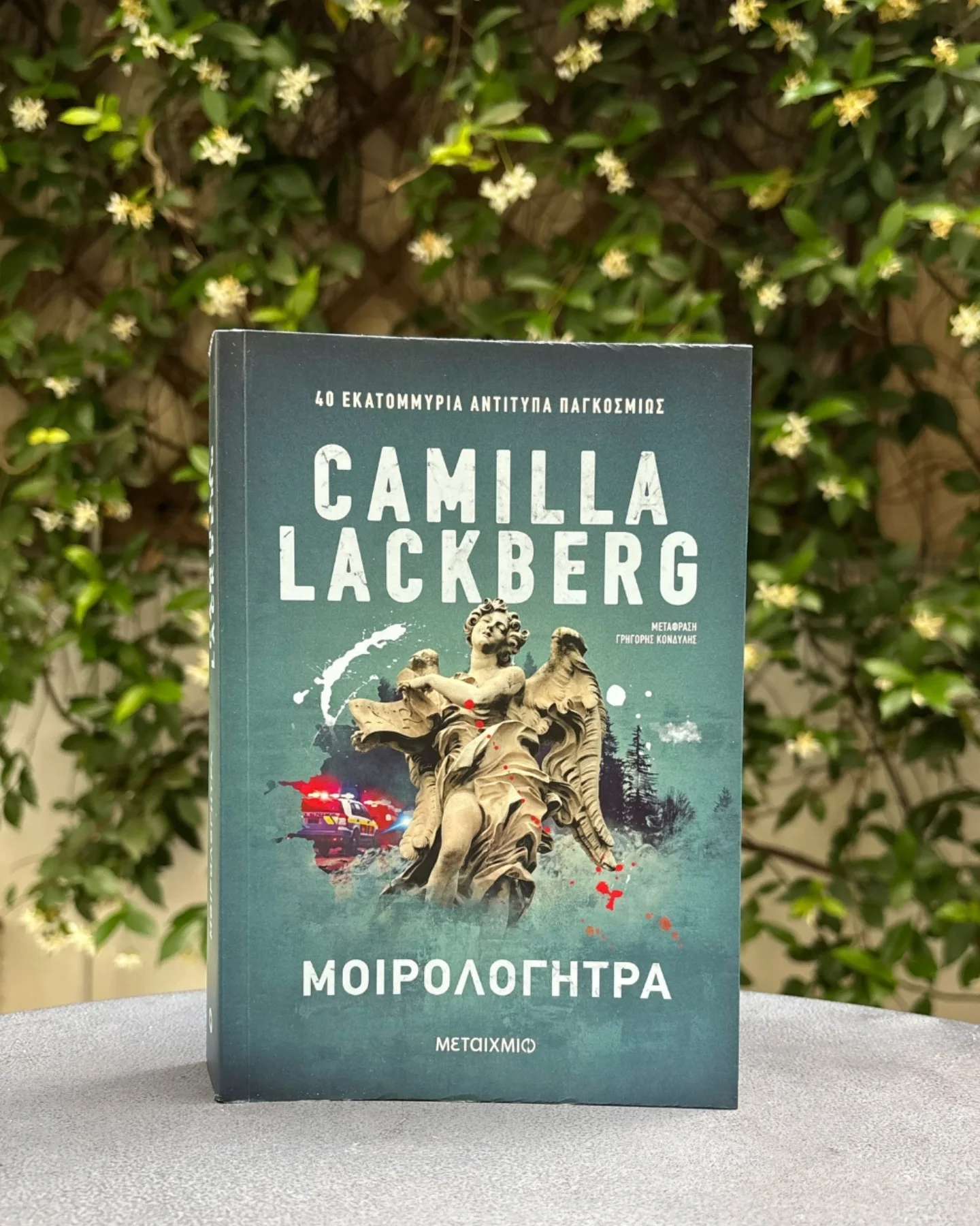camilla lackberg book cover summer vacation books
