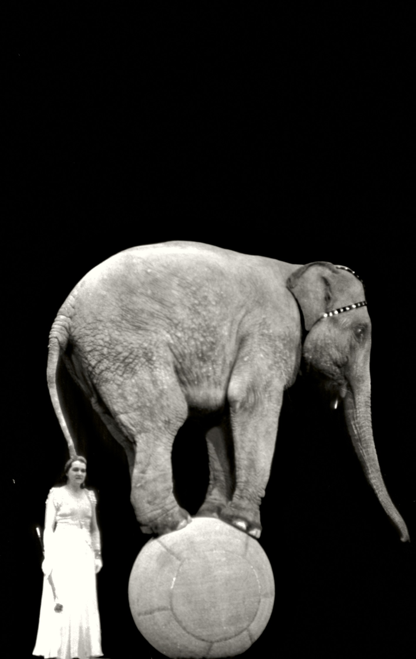 Alfred Eisenstaedt, Circo
Europa, anni Trenta
