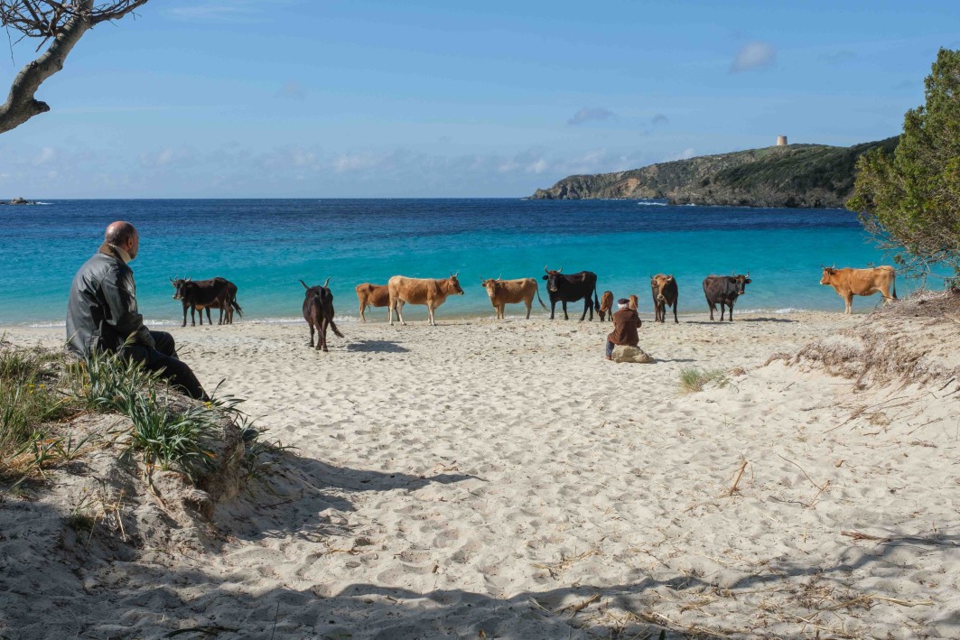 Σκηνή από την ιταλική ταινία «Έτσι είναι η ζωή» στη Σαρδηνία