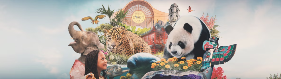 Banner για το πάρκο Pairi Daiza