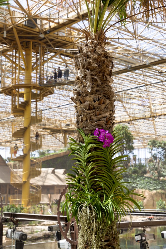 Tο πάρκο Pairi Daiza