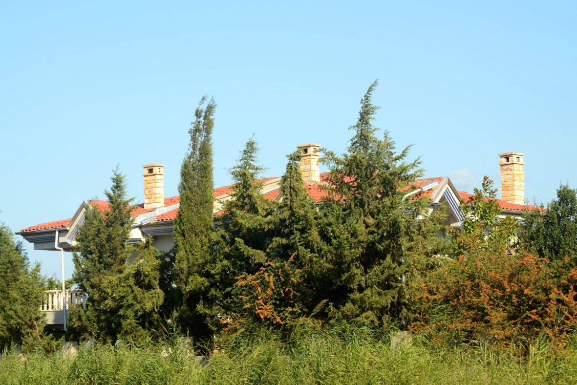 Kήπος με δέντρα στη Μεσόγειο
