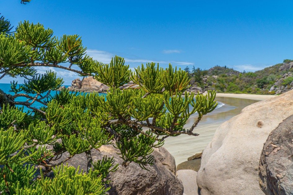To Magnetic Island στην Αυστραλία.