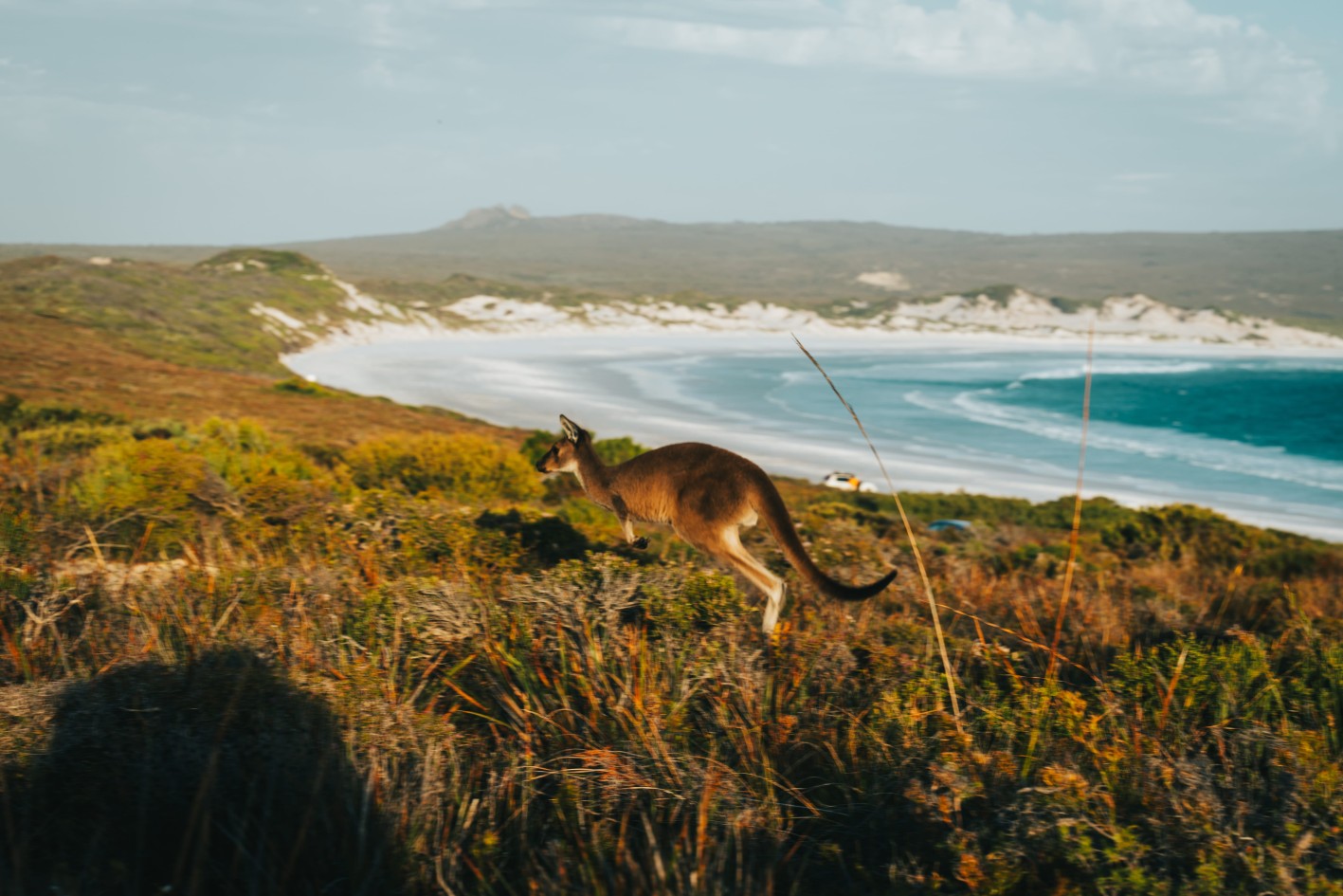 To Kangaroo Island στην Αυστραλία.
