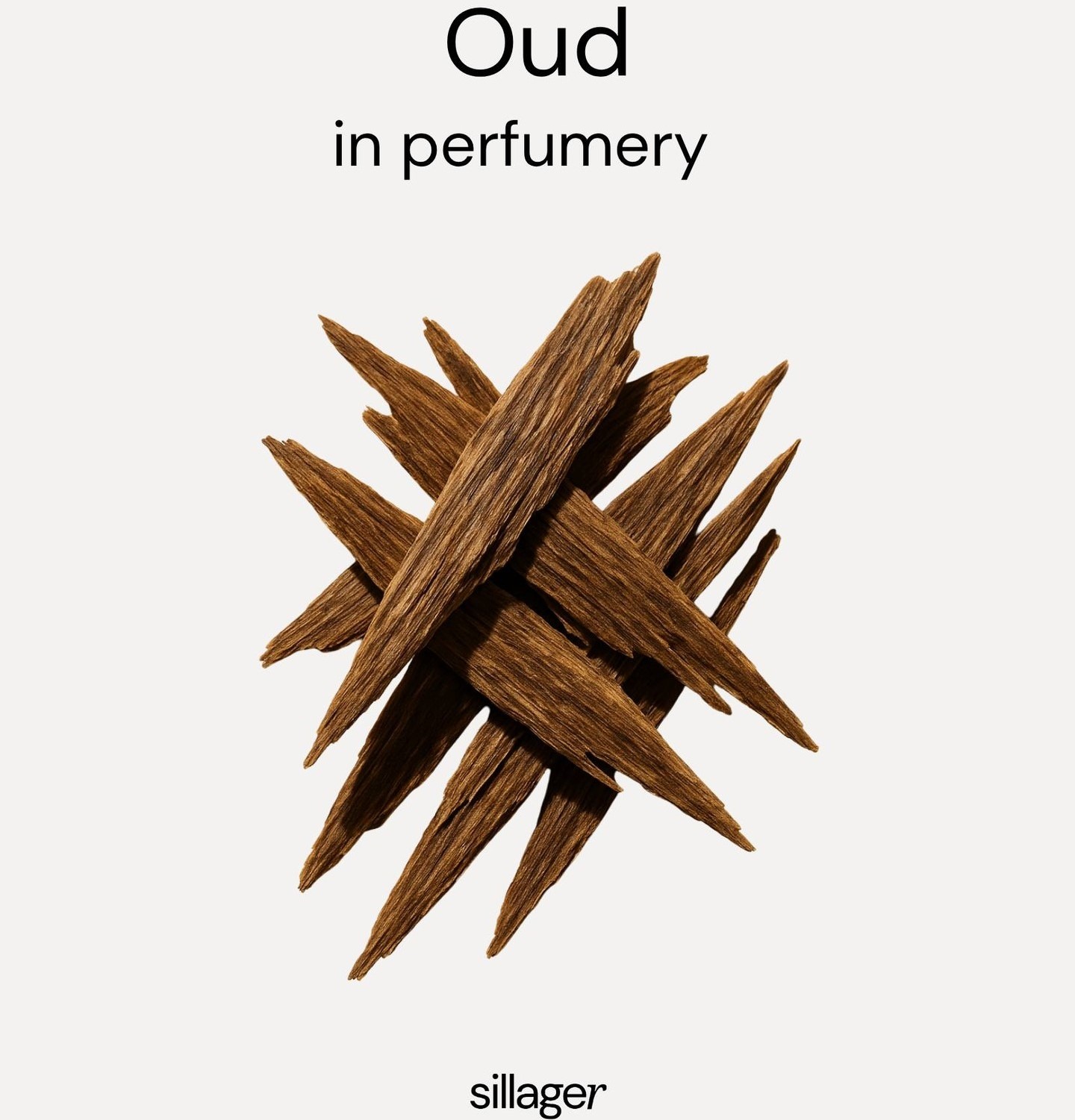 Oud αρωματική νότα