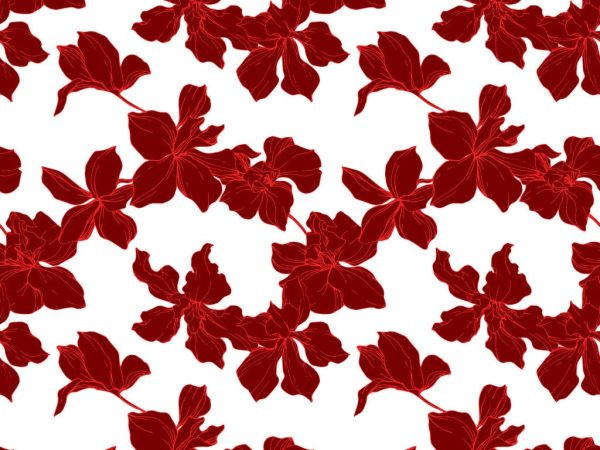 Botaniki magieia-13/21-Vector. Orchid flower. Red engraved ink art. Seamless background pattern. Fabric wallpaper print texture.