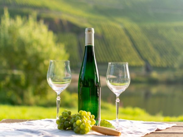 Wine Travel-Mosel-Germany-3