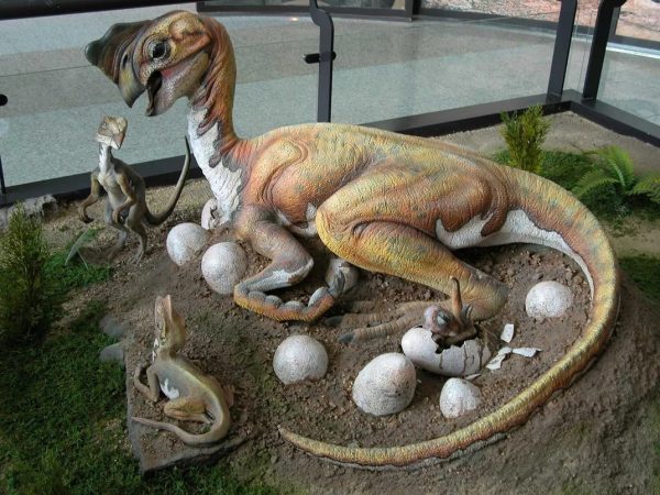 6-oviraptorid-dinosaur-with-eggs-and-babies_photo-credit-to-darla-zelenitsky_web
