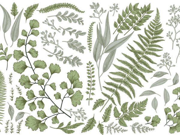 Set with leaves and ferns.