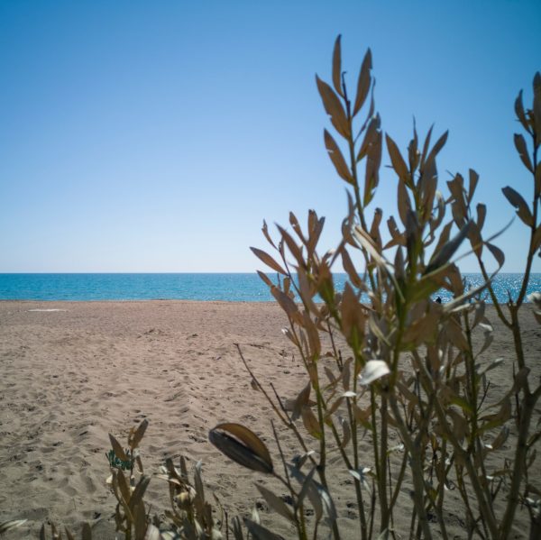 Παραλία με άμμο χωρίς ξαπλώστρες