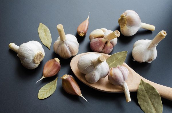 heads of garlic with spices