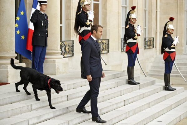 Ο Γάλλος πρόεδρος Emmanuel Macron και ο σκύλος του, ένα λαμπραντόρ γκριφόν με το όνομα Nemo (Α), περιμένουν να υποδεχτούν αξιωματούχους στο Μέγαρο των Ηλυσίων στο Παρίσι, Γαλλία, 28 Αυγούστου 2017
