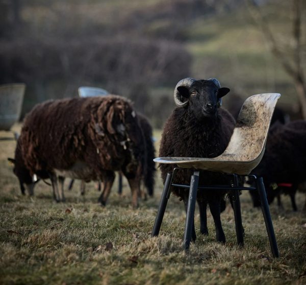solidwool-chair-sheep-fleece_dezeen_23-cover