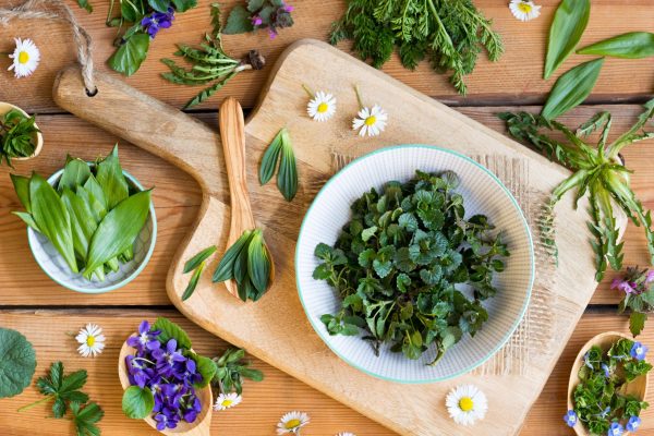 Wild edible spring plants on a wooden table